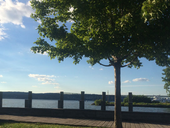 Beacon park