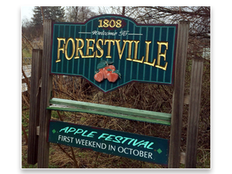 Village of Forestville